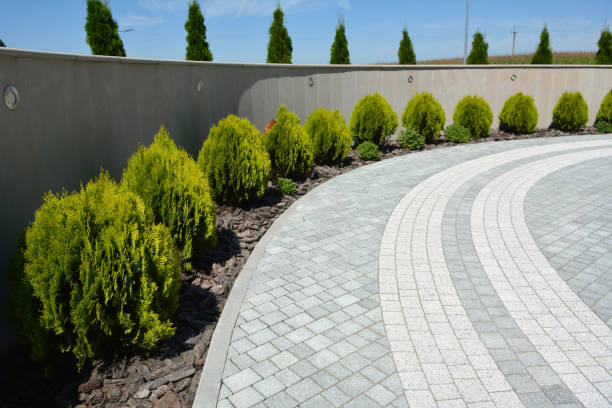 Best Custom Driveway Pavers  in Charleston, MS